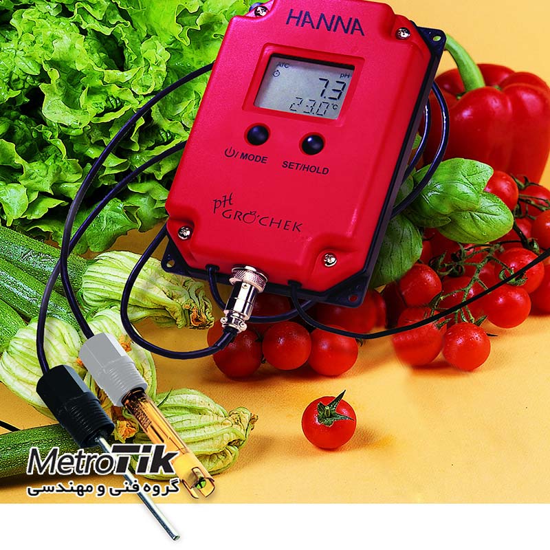 pH متر و دماسنج آنلاین pH and Temperature Monitor HANNA Hi991401 هانا HANNA Hi991401